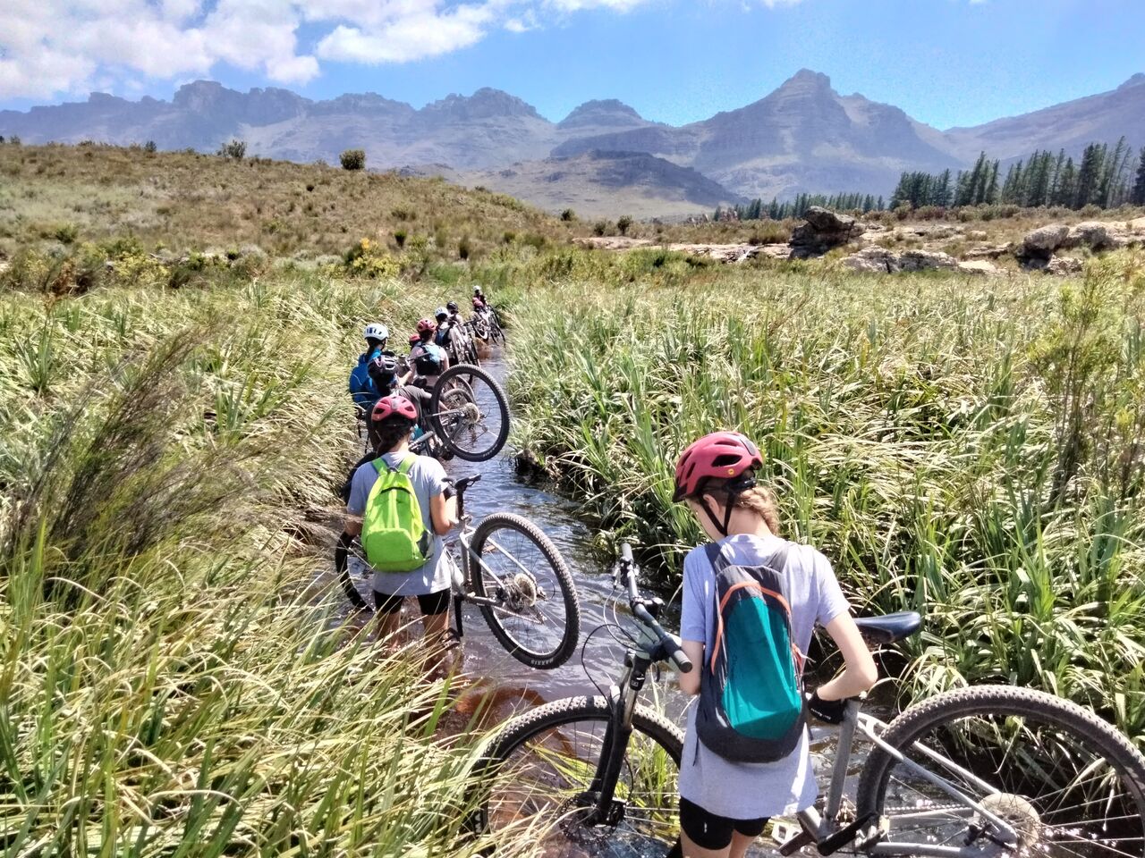 PHOTO 2024 11 24 09 56 22