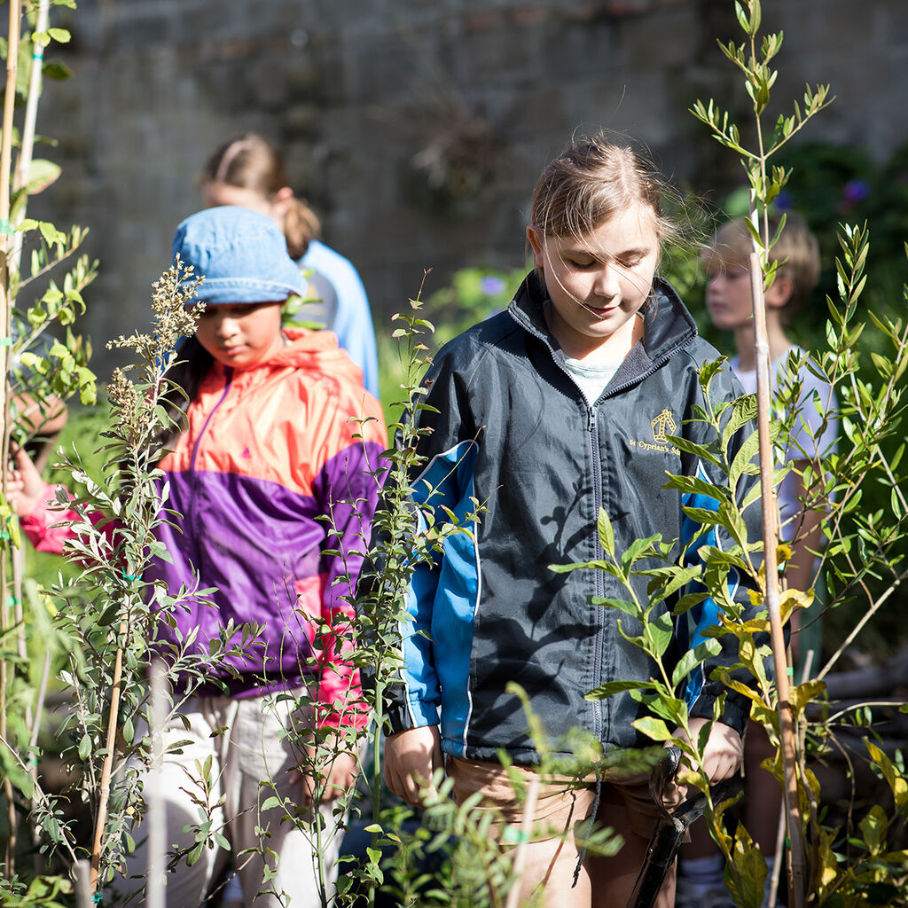 Nurturing compassionate changemakers