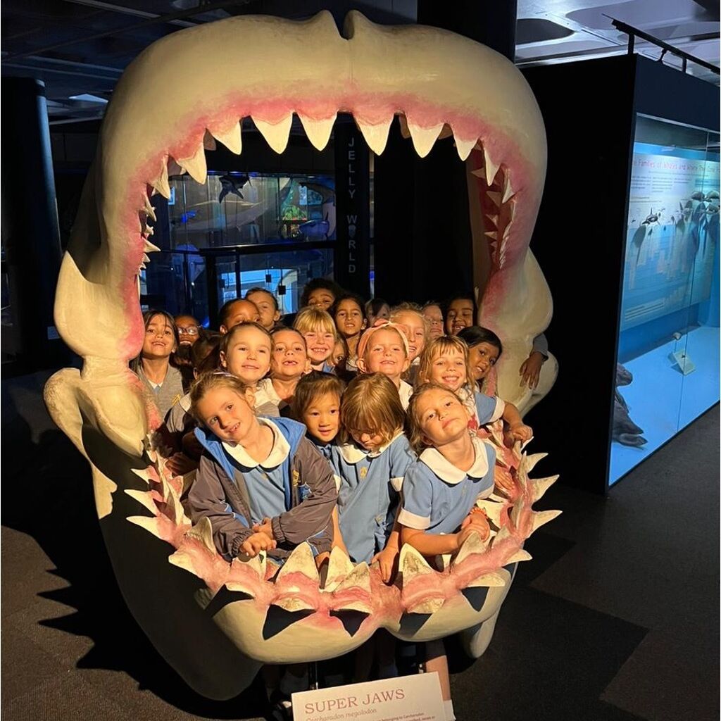 Co-curricular adventures